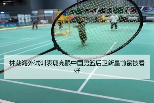 林葳海外试训表现亮眼中国男篮后卫新星前景被看好